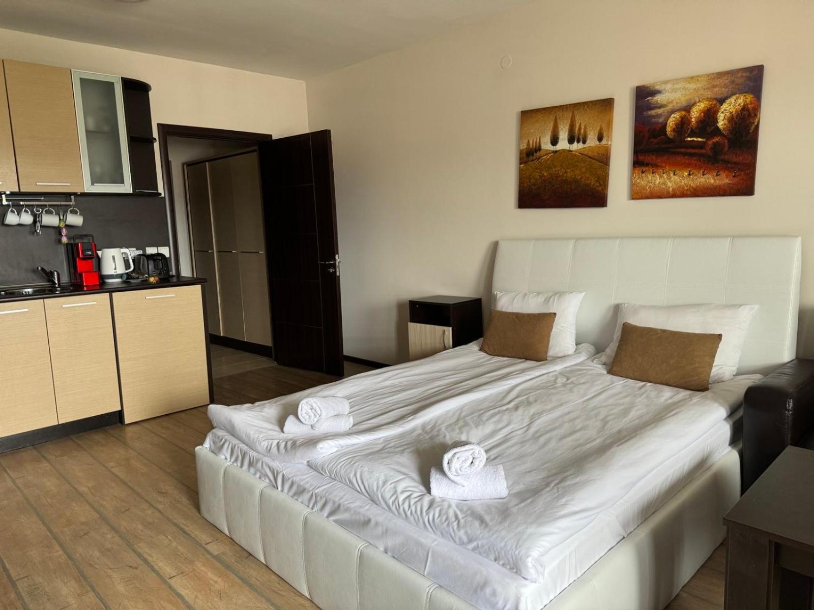 Alpine Lodge Bansko Apartments Buitenkant foto